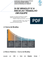 Curva de Bradley e A Importância Do Trabalho em Equipe