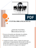 Cultura Organizacional