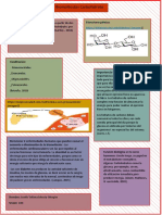 Infografía Biomolécula Carbohidratos