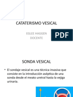 Cataterismo Vesical