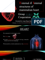 Zoo Presentation (Structures of Heart)