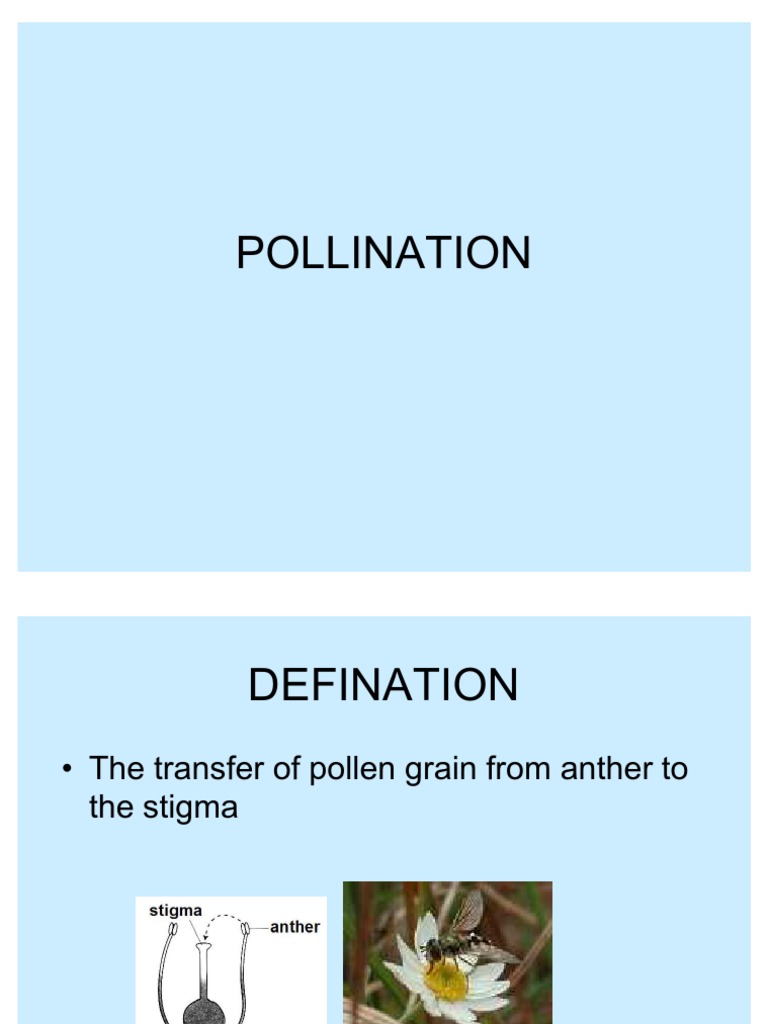 SEO Best Practices Guide | PDF | Pollination | Flowers