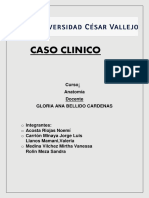 Ccaso Clinico