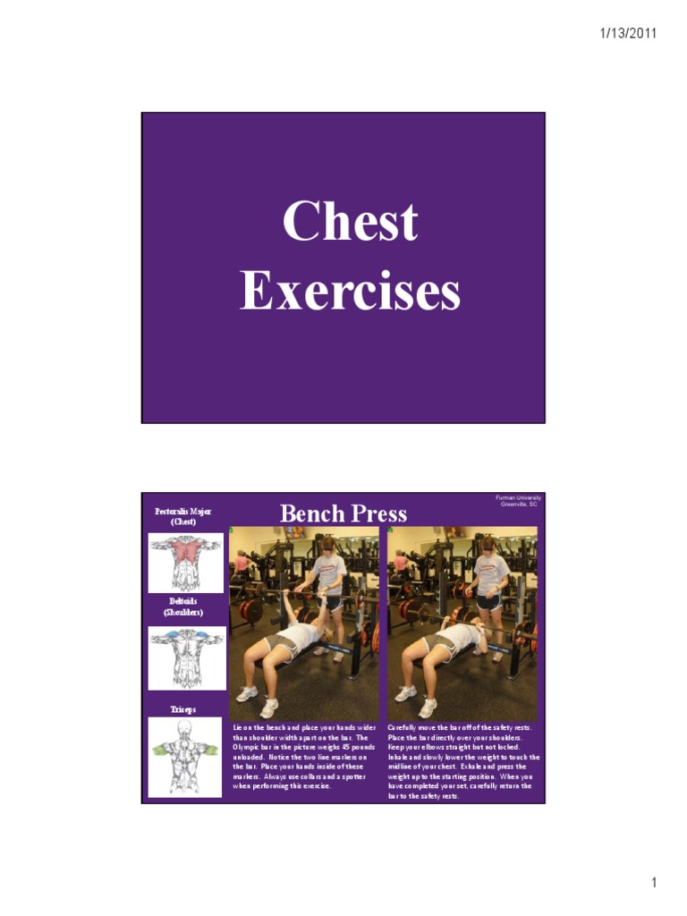 Chest Exercises PDF Human Anatomy Strength Training