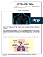 Sistema respiratório e suas funções