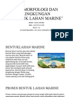 Bentuklahan Marine