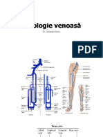 CURS_Patologie Venoasă