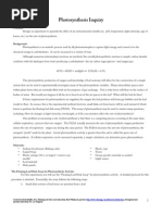 Download Lab Photosynthesis Inquiry by corygunther SN56803136 doc pdf