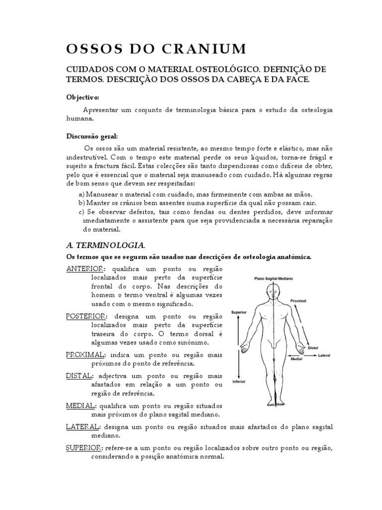 Apostila Ossos Do Crânio Download Grátis Pdf Crânio Anatomia