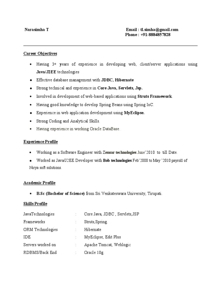Java Developer Experience Summary | PDF | Computer Science | Computing ...