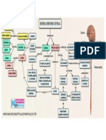 MAPA CONCEPTUAL DEL SISTEMA NERVIOSO CENTRAL SNC