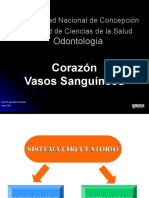 Cardiovascular - Corazon y Vasos Sanguineos