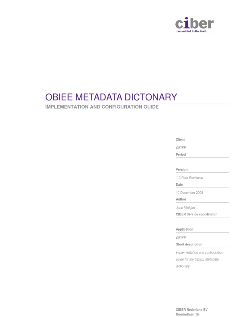 OBIEE Metadata Dictionary | PDF | Metadata | Web Server