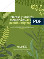 UADER - Plantas y Saberes Medicinales