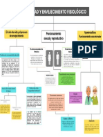 Mapa Conceptual Jenncy Portillo