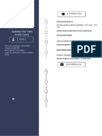 Plantilla Curriculum Vitae 7