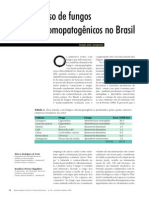 O uso de fungos entomopatogênicos no Brasil