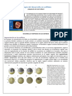 Biologia Del Desarrollo en Anfibios