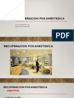 DRA ROCIO PANDO-RECUPERACION-POS-ANESTESICA-2021