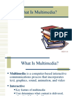 What Is Multimedia