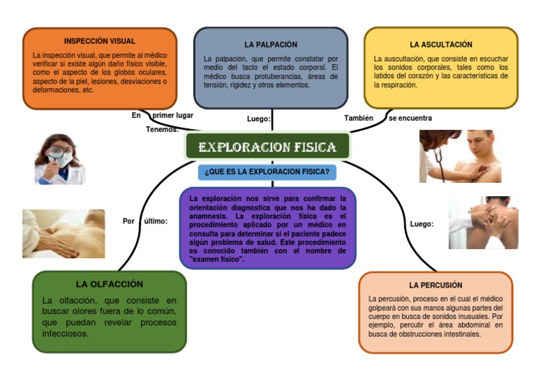 Mapa Conceptual Exploracion Fisica | PDF | Examen físico | Enfermedades ...