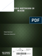 10-Br. Methods in Maize