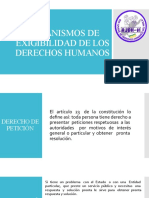 Mecanismos de Exigibilidad de Los Derechos Humanos