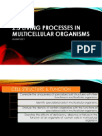 2.3 Living Processes in Multicellular Organisms: D.salleh2021