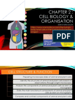 Cell Biology & Organisation: Body/what-Cells-In-The-Human-Body-Live-The-Longest