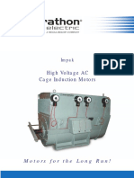 HV AC Cage Induction Motors