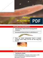 Phylum Platyhelminthes