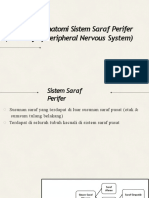 5.anatomi Sistem Saraf Perifer