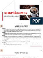 Business Plan - MIKROKOSMOS