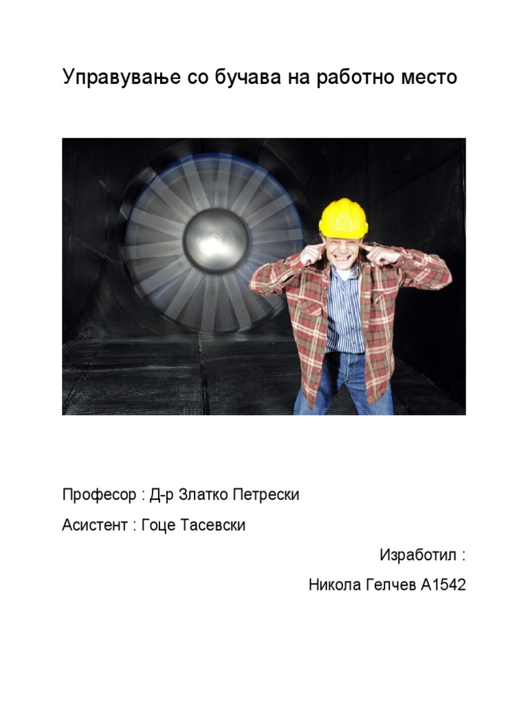 Управување Со Бучава На Работно Место | PDF