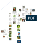 Mapa Mental de Fauna Silvestre