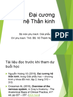 1 Up Web Dai Cuong He Than Kinh - NSB 13.01.2019
