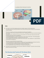 Unit 1 (A) Brain Structure and Function