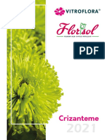 Catalog Crizanteme Vitroflora 2021
