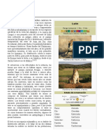 Texto Expositivo | PDF | León | Felidae