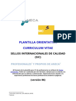 Plantilla CV profesorado_v06