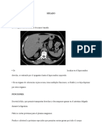 Exposición Anatomia Multiplanar