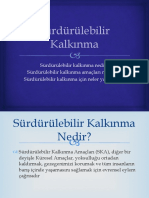 Sürdürülebilir Kalkınma