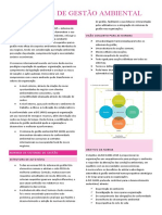 Sistemas de Gestão Ambiental - IsO 14001