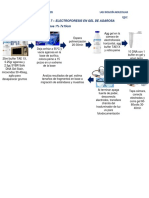 DF-P7-MENDÍVIL ESQUER-219207974