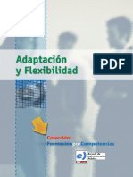 54585-adaptacion_y_flexibilidad