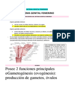 Histología Del Sistema Reproductor Masculino y Femenino