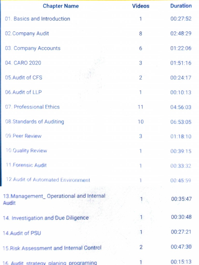 Audit Syllabus | PDF