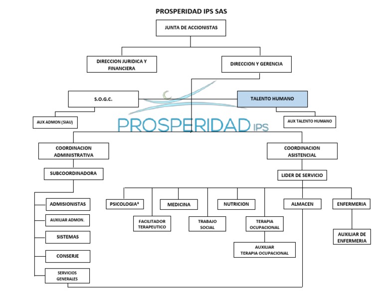 Organigrama Ips | PDF