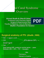 Pudendal Canal Syndrome