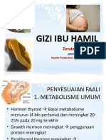 Kebid - Gizi Bumil